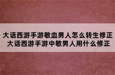 大话西游手游敏血男人怎么转生修正 大话西游手游中敏男人用什么修正